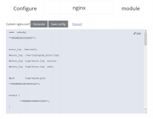 Custom nginx config